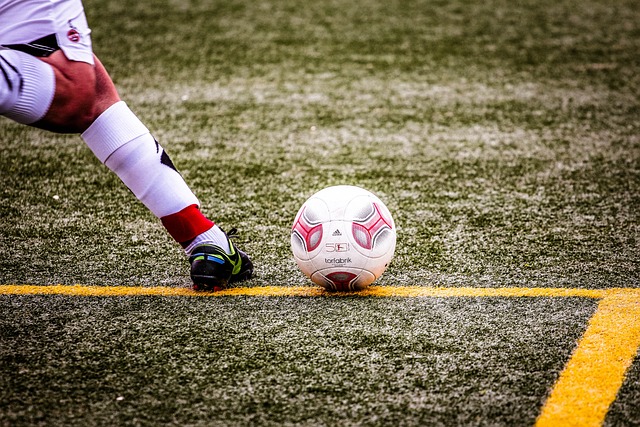 法律框架 法律框架