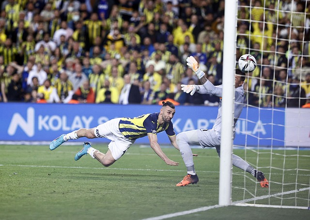 在本届欧洲 在本届欧洲