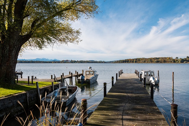 这位老将多 这位老将多